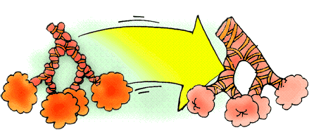 Asthma medicine helps relax the tight muscles
