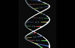 Science