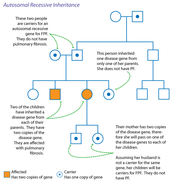 Autosomal Recessive Inheritance