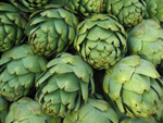 Artichokes