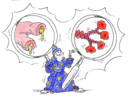 Wizard showing airways with asthma