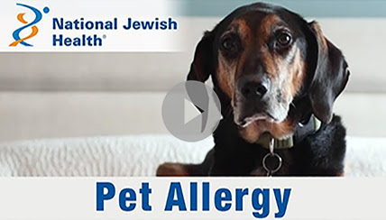 Tips for Living Better with Pet Allergies Video