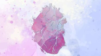 Cardiovascular Disease: Saving the Hearts of Women Through Prevention