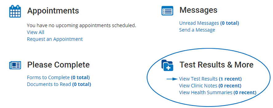 Results can be accessed from your patient portal dashboard