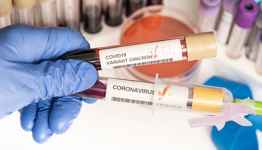 omicron variant of coronavirus in test tube