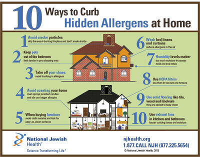 hidden home allergens infographic