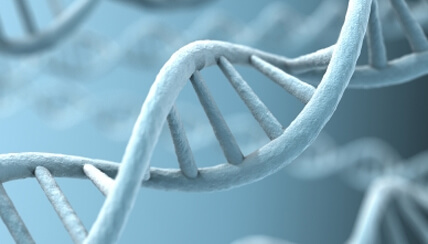 A personalized medicine approach will better monitor disease and treatments and have a better chance of predicting outcomes of therapies and treatment approaches.