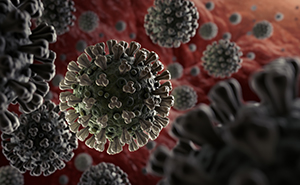 Microscopic Image of the 2019 Novel Coronavirus (COVID-19 virus)