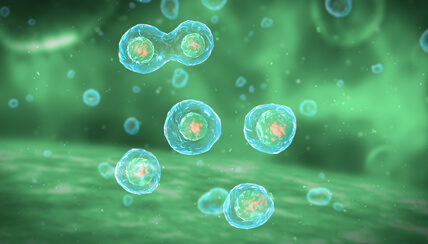 Cell Biology