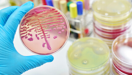 Mycobacterial Fellowships