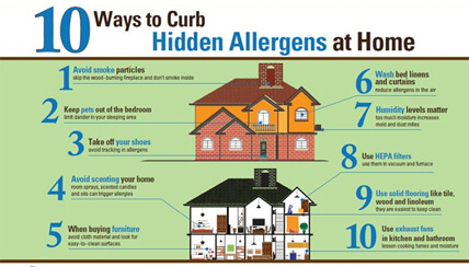 hidden home allergens