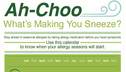 Ah-Choo! What's Making You Sneeze?