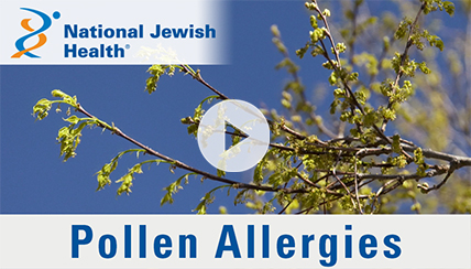 What Are Pollen Allergies and How Can You Manage Them?