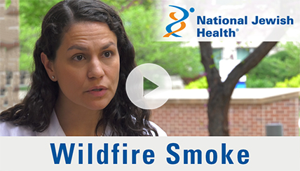 Long and Short-Term Effects of Wildfire Smoke