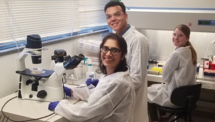 2018 lab