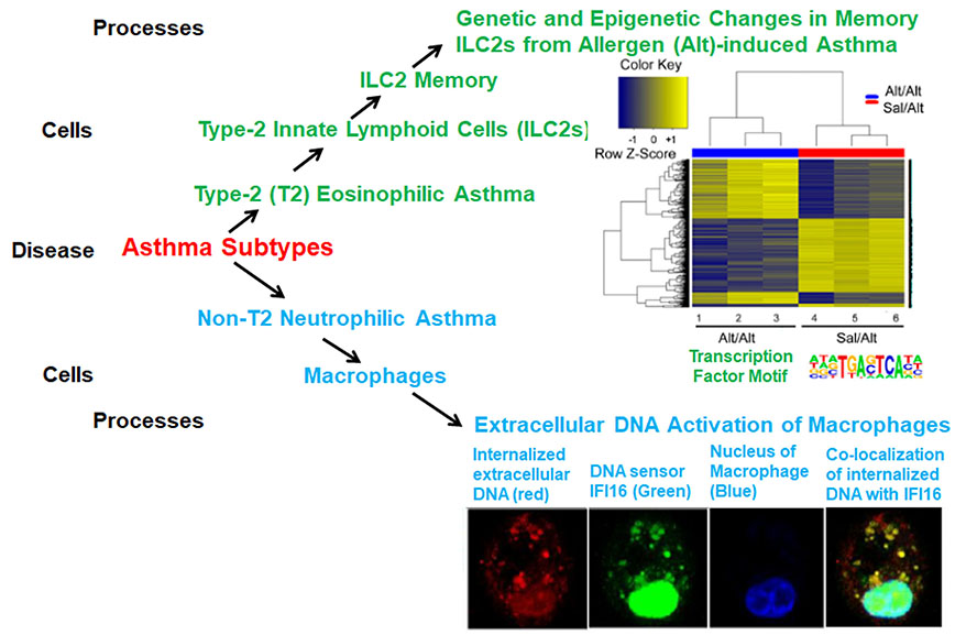 Alam Research