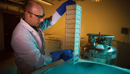 Researcher working in the Integrated Bioinformation and Specimen Center