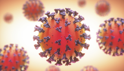 View more information on Coronavirus<br>(COVID-19)