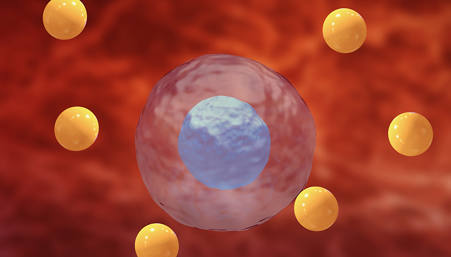 Oxidative Stress