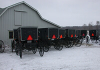 Amish Wagons