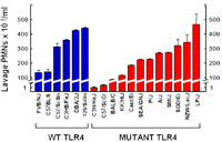 Figure 2: Click on image to enlarge. Figure2