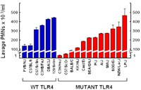 Figure2