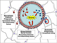 Figure 1: Click on image to enlarge. Figure 1