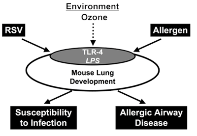 Figure 1: Overview of the scientific approaches in Project 2. Environment Zone
