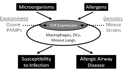 Figure 3: Overview of the scientific approaches in Project 3. Overview of the Scientific Approaches in Project 3.