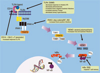 Figure 1: Click on image to enlarge. Figure 1