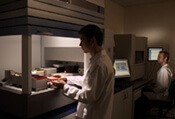 Center for Genes, Environment, & Health: Researchers