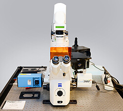 LWD Marianis Microscope