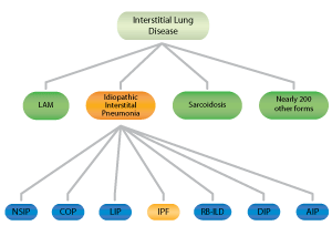 IIP forms