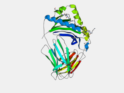 Complete coordinates for IEk with a covalently bound peptide from mouse HSP70.