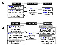 Figure 10: Click on image to enlarge with full description. Figure 10