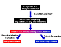 Figure 1: Click on image to enlarge with full description. Figure 1