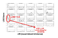 Figure 2: Click on image to enlarge with full description. Figure 2