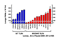 Figure 4: Click on image to enlarge with full description. Figure 4