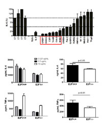 Figure 5: Click on image to enlarge with full description. Figure 5