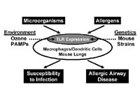 Figure 6: Click on image to enlarge with full description. Figure 6