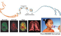 Figure 8: Click on image to enlarge with full description. Figure 8