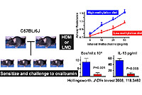 Figure 9: Click on image to enlarge with full description. Figure 9