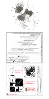 Figure 1: Click on image to enlarge with full description. Figure 1