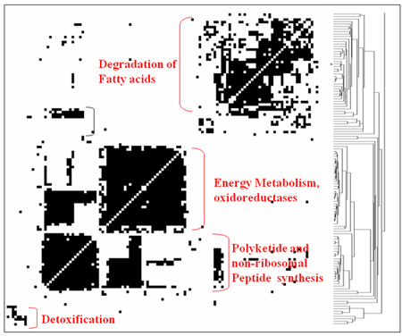 Figure 1c