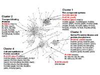 Figure 2: Click on image to enlarge with full description. Figure 2