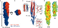 Figure 3: Click on image to enlarge with full description. Figure 3