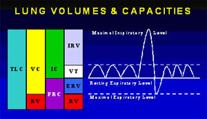 Lung Volumes & Capacities