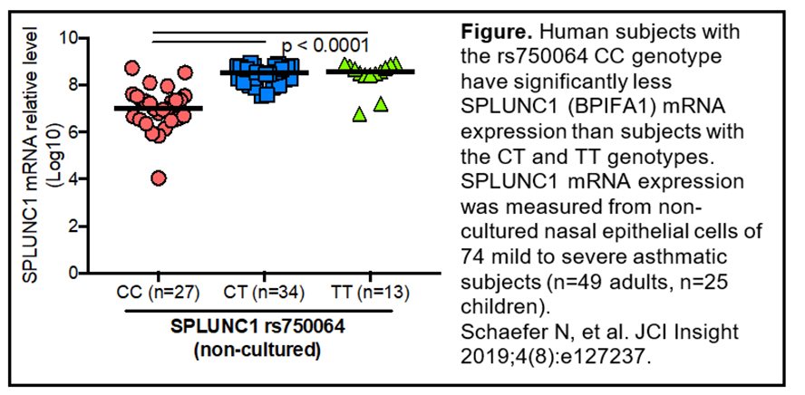 Genetic variation in innate immunity and asthma