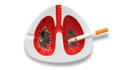 Cigarette with a lung-shaped ash tray