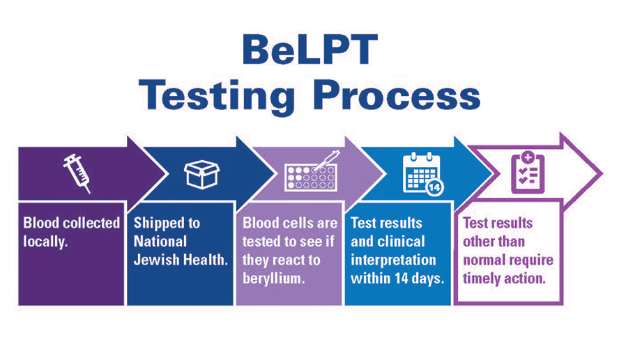 BeLPT Testing Process
